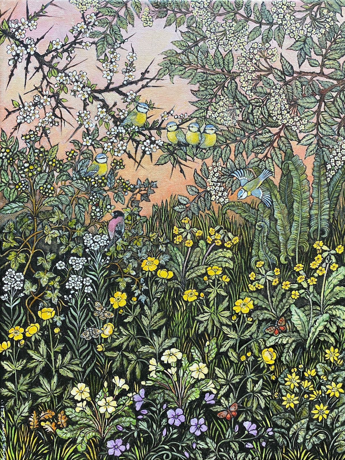 Barbara Winrow, Bluetits