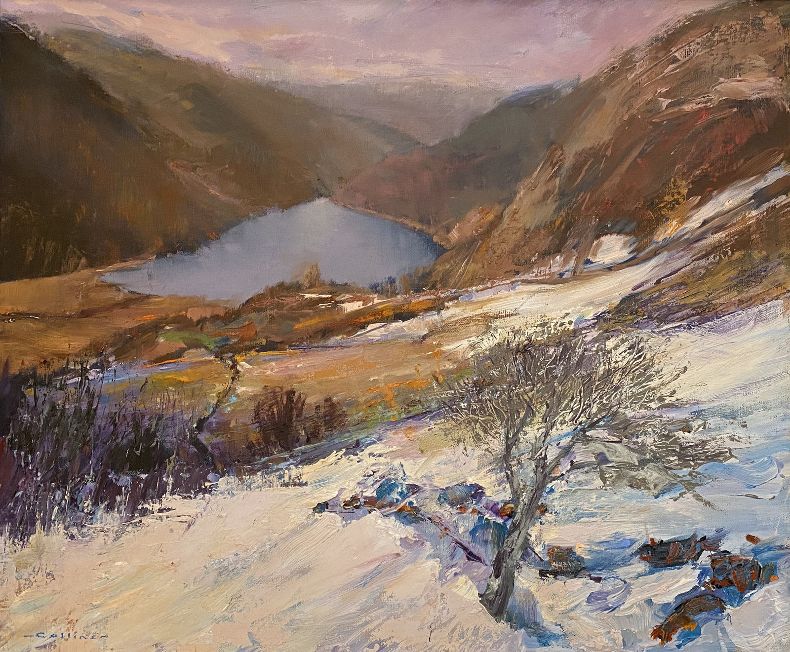 Martin Collins 1941 - 2023, Above Llyn Crafnant, Eryri, 2016