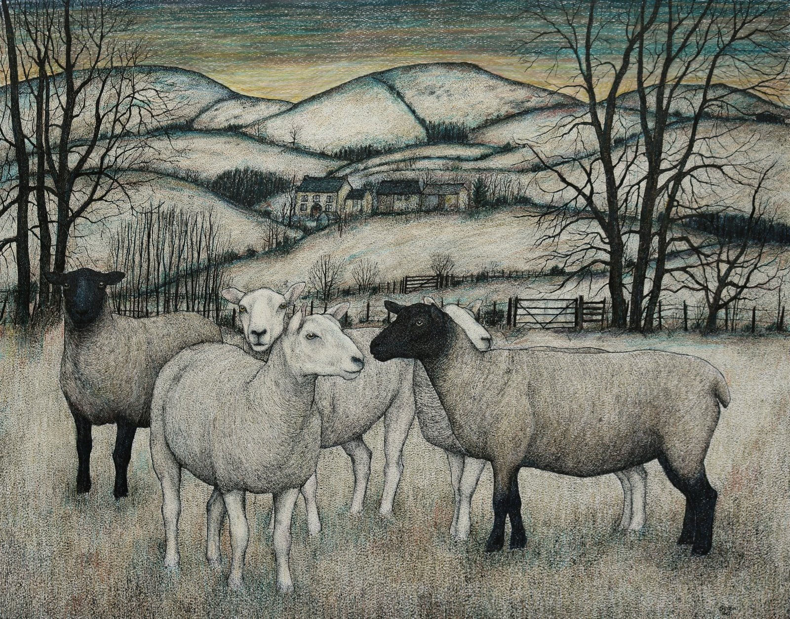 Seren Bell, Homelands