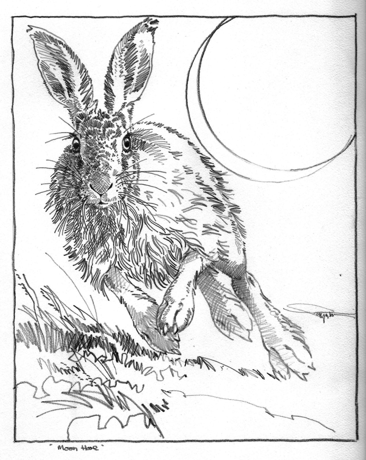 Colin See-Paynton, Moon Hare