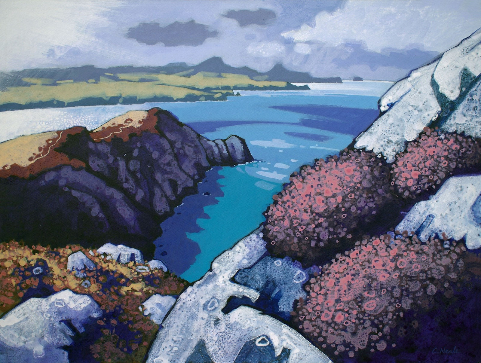 Chris Neale, Pwll Deri, 2024