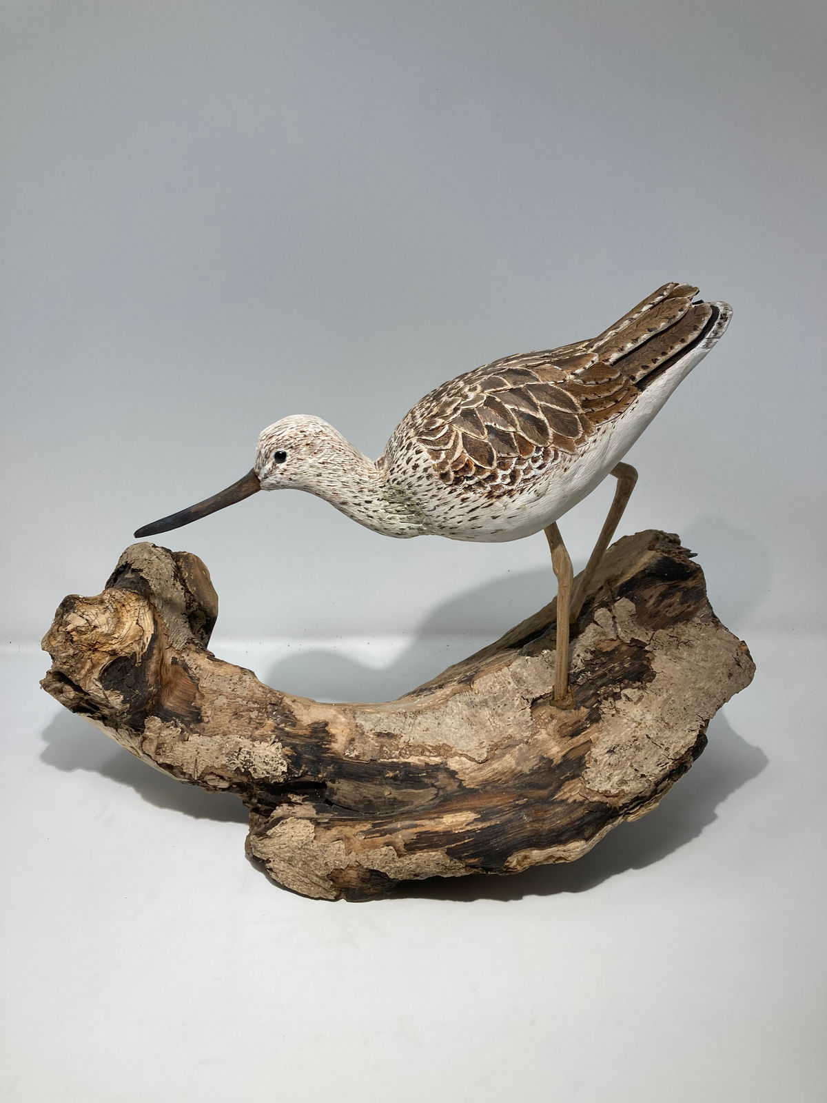 John & Marilyn Davies, Greenshank, 2024