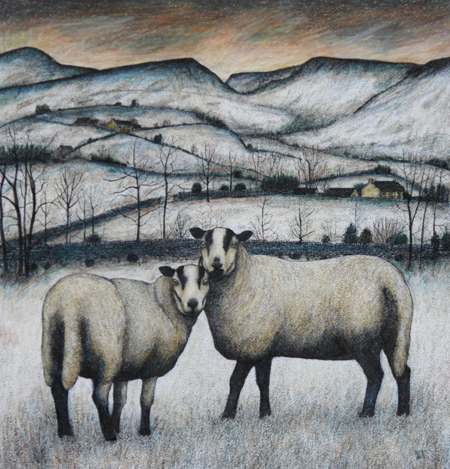 Seren Bell, Torddu Ewes