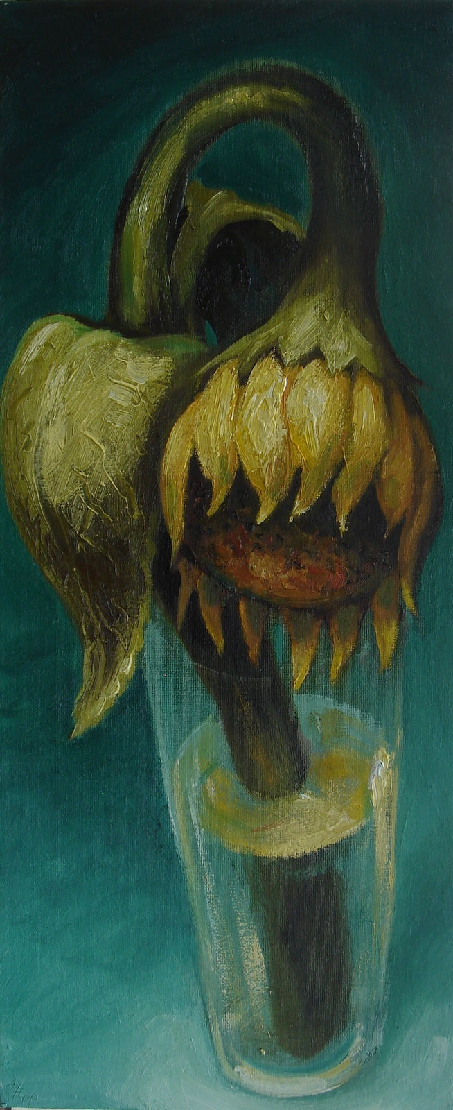 Gustavius Payne, Sunflower II