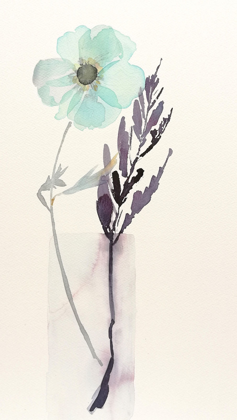 Susan Kane, Himalayan Poppy