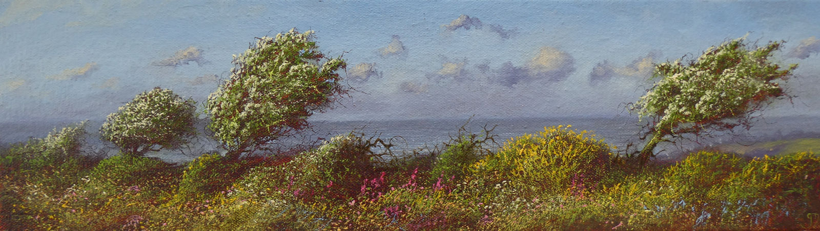 Gerald Dewsbury, Coastal Hedge, 2025