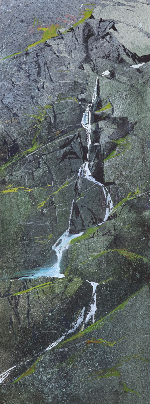 Malcolm Edwards, Rhinog Cascade