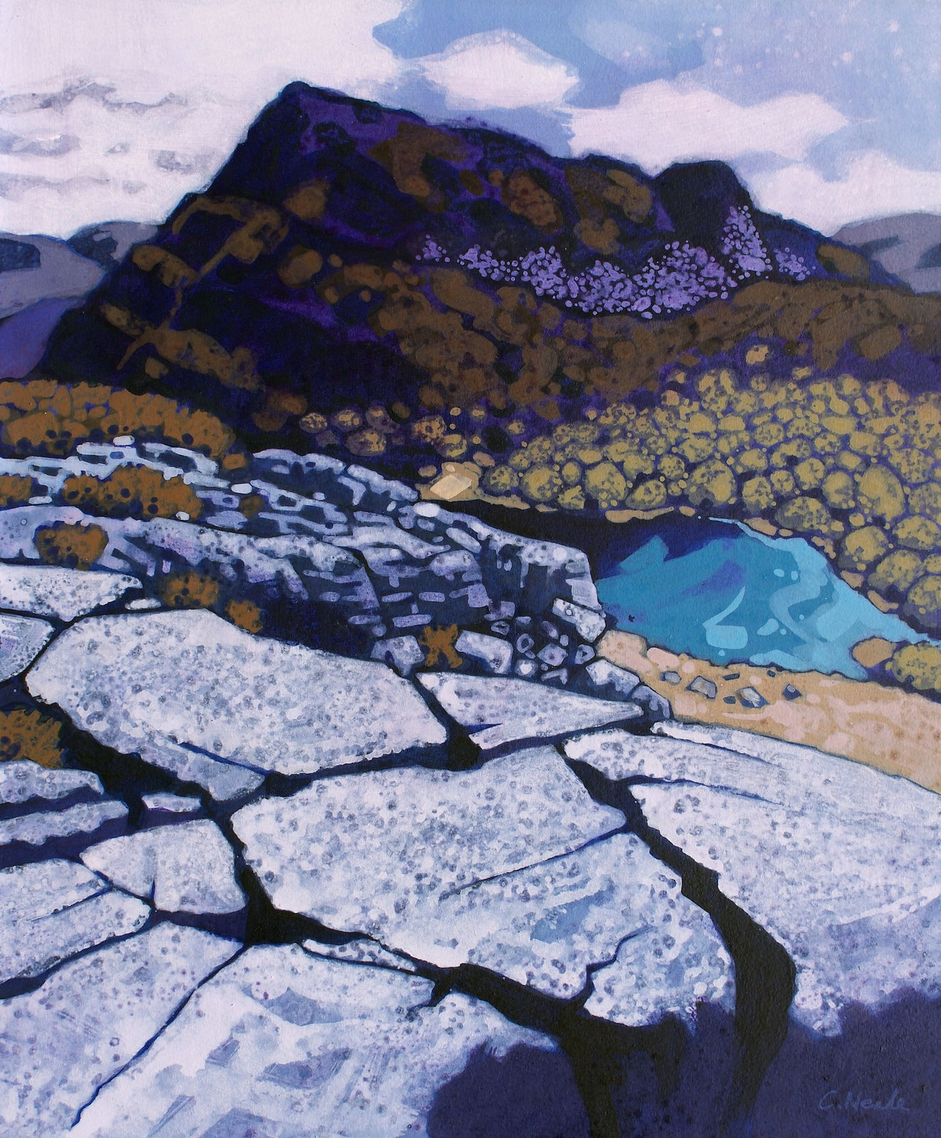 Chris Neale, Llyn Bychan, 2024