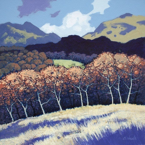 Chris Neale, Dolbenmaen