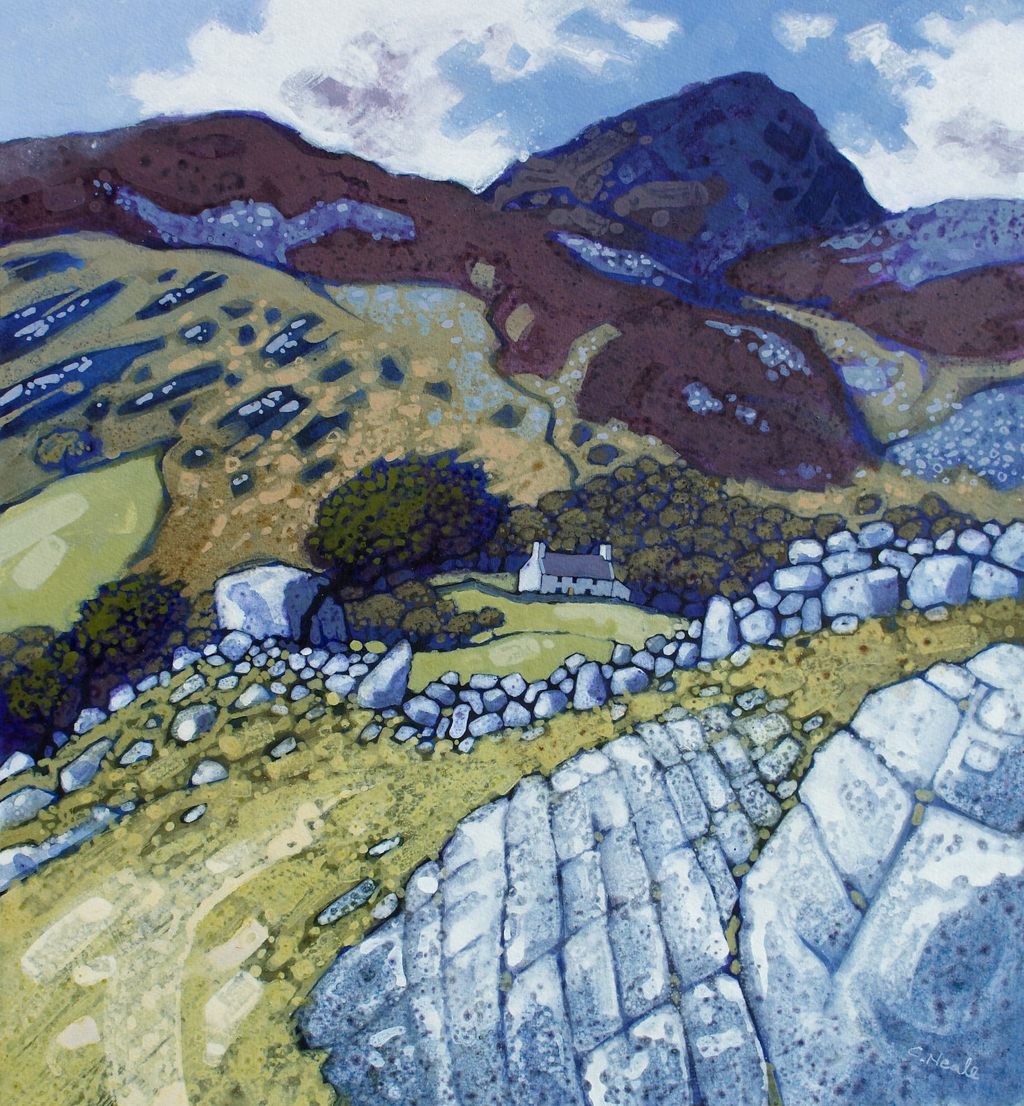 Chris Neale, Cwm Bychan, 2024