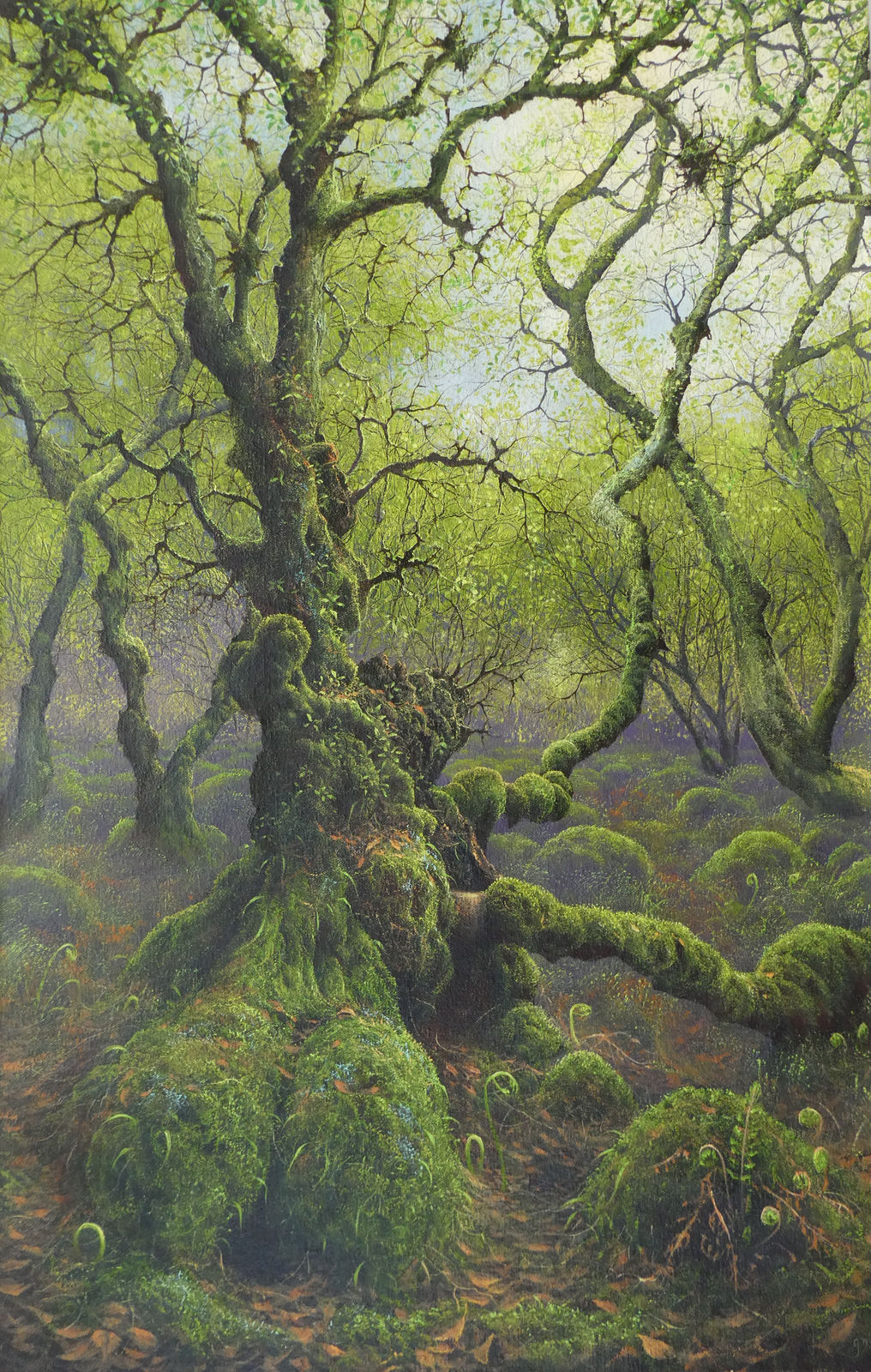 Gerald Dewsbury, Broom Birch, 2025