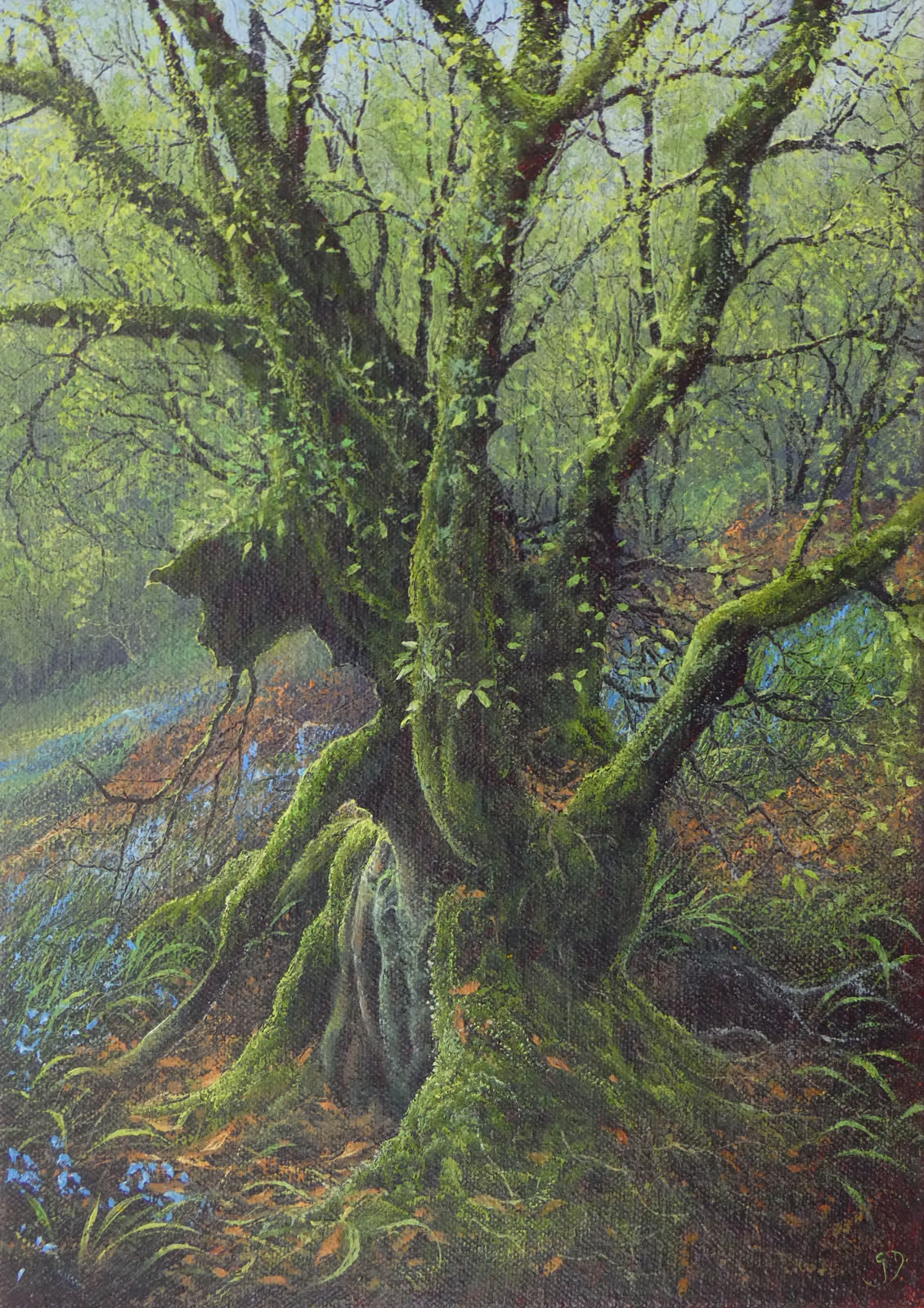 Gerald Dewsbury, Walk in the Woods II, 2025