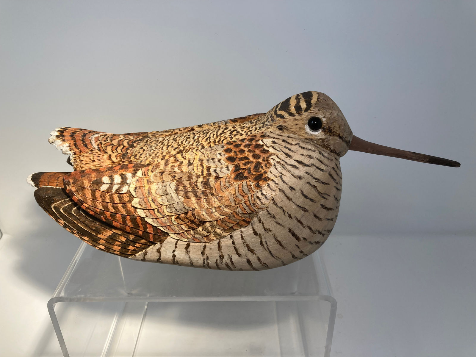 John & Marilyn Davies, Woodcock, 2024