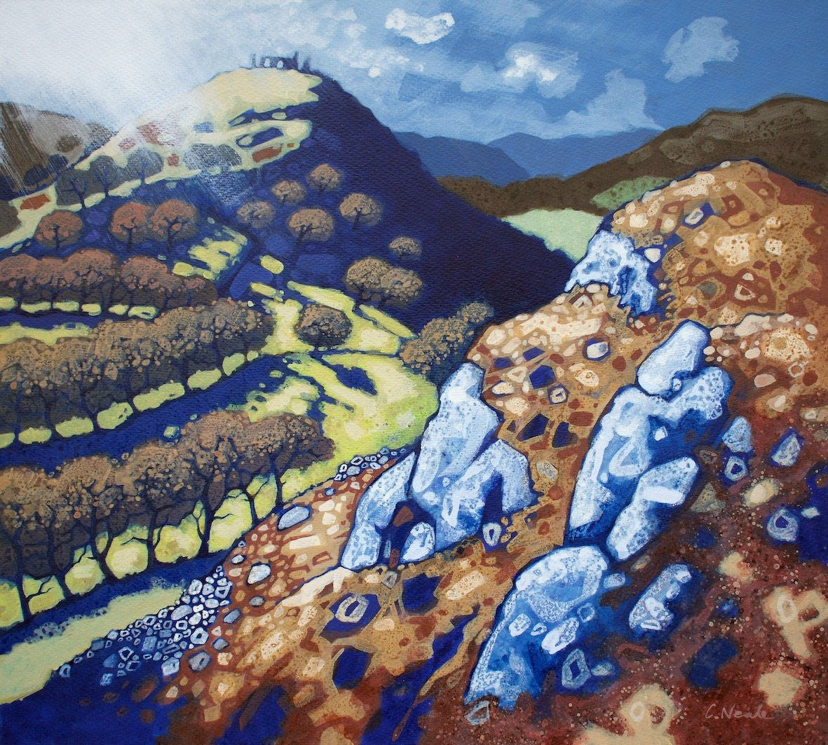 Chris Neale, Dinas Bran