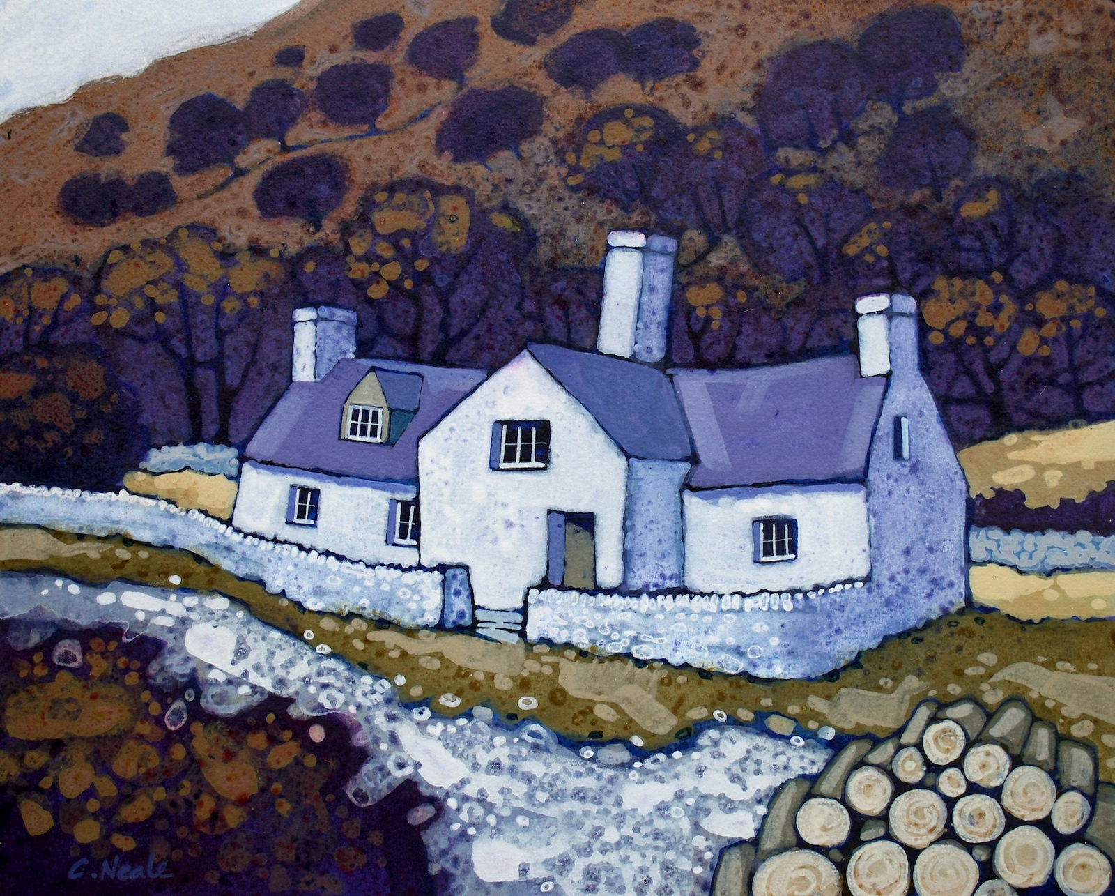 Chris Neale, Eglwysbach, 2024