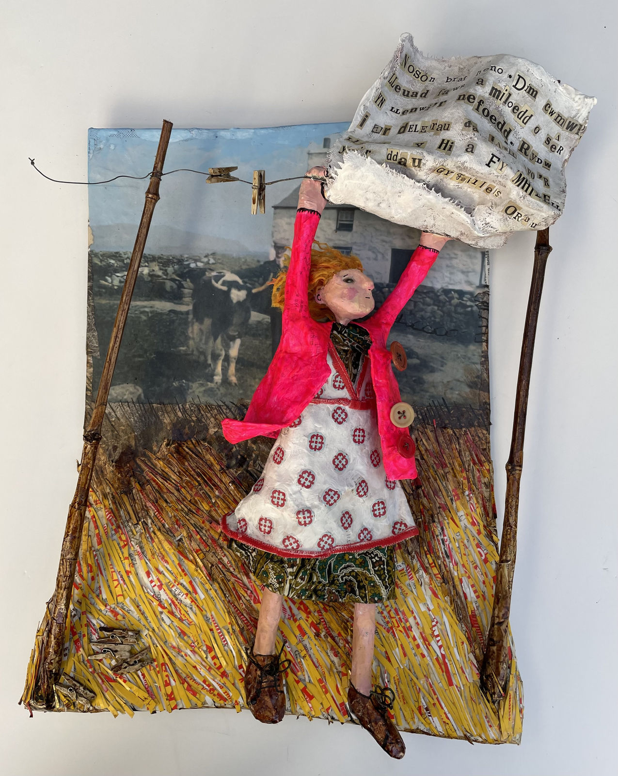 Luned Rhys Parri, Bryn Llidiart