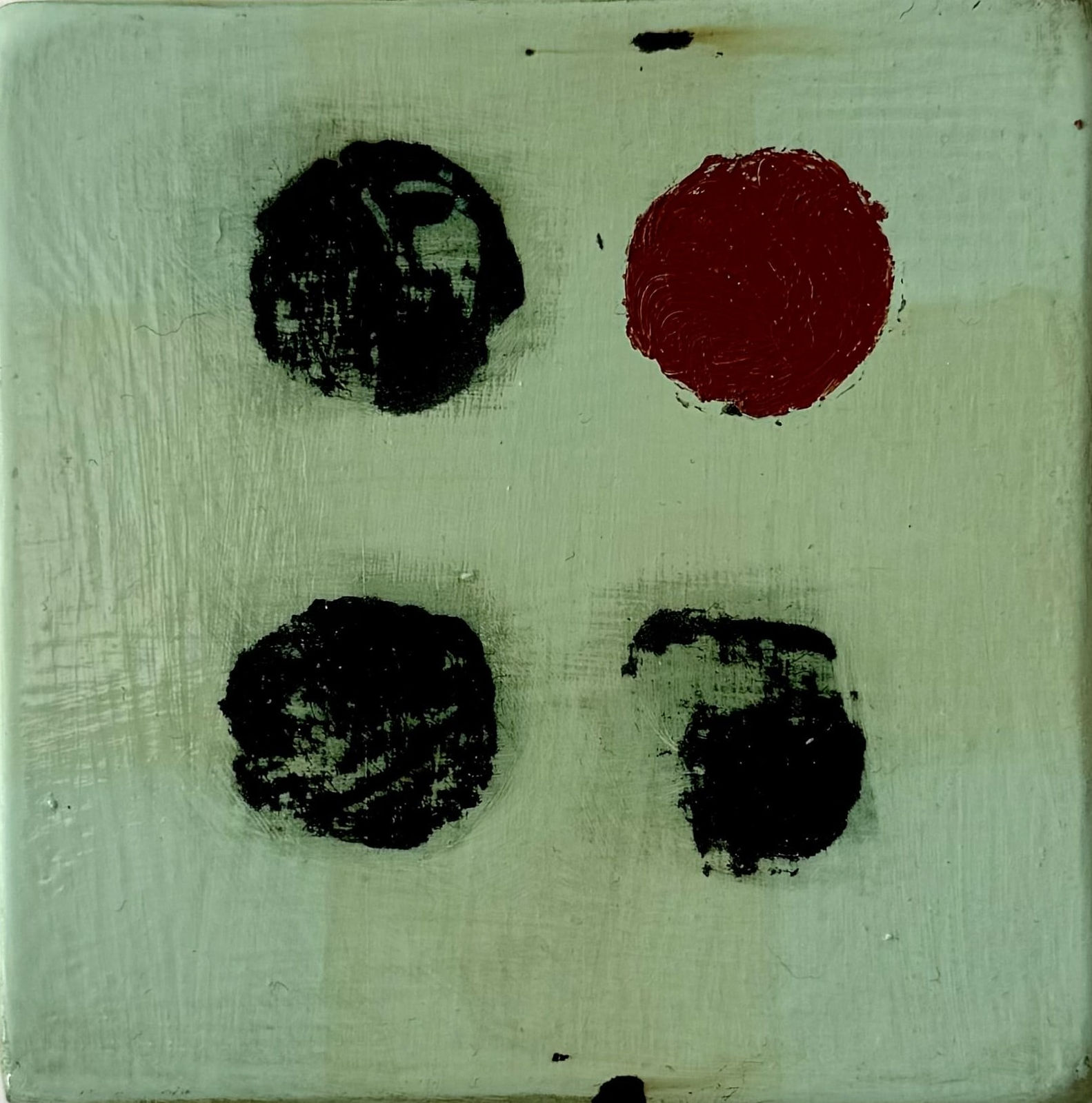 Adam Taylor, Sugar Kelp, 2024