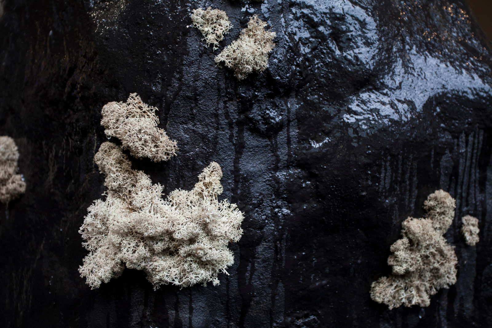 Tom Lellouche, 2WM-ECHO-SM, 2017