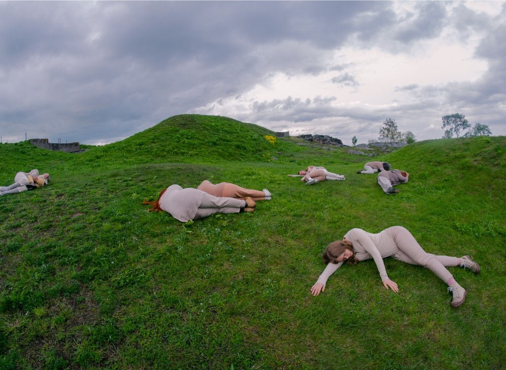 Anikó Kuikka, ‘Cows in a pasture’ (from the ELÄIN ANIMAL DJUR photo series), 2023