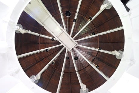 Marijke Keyser, Time Thicket, 2018