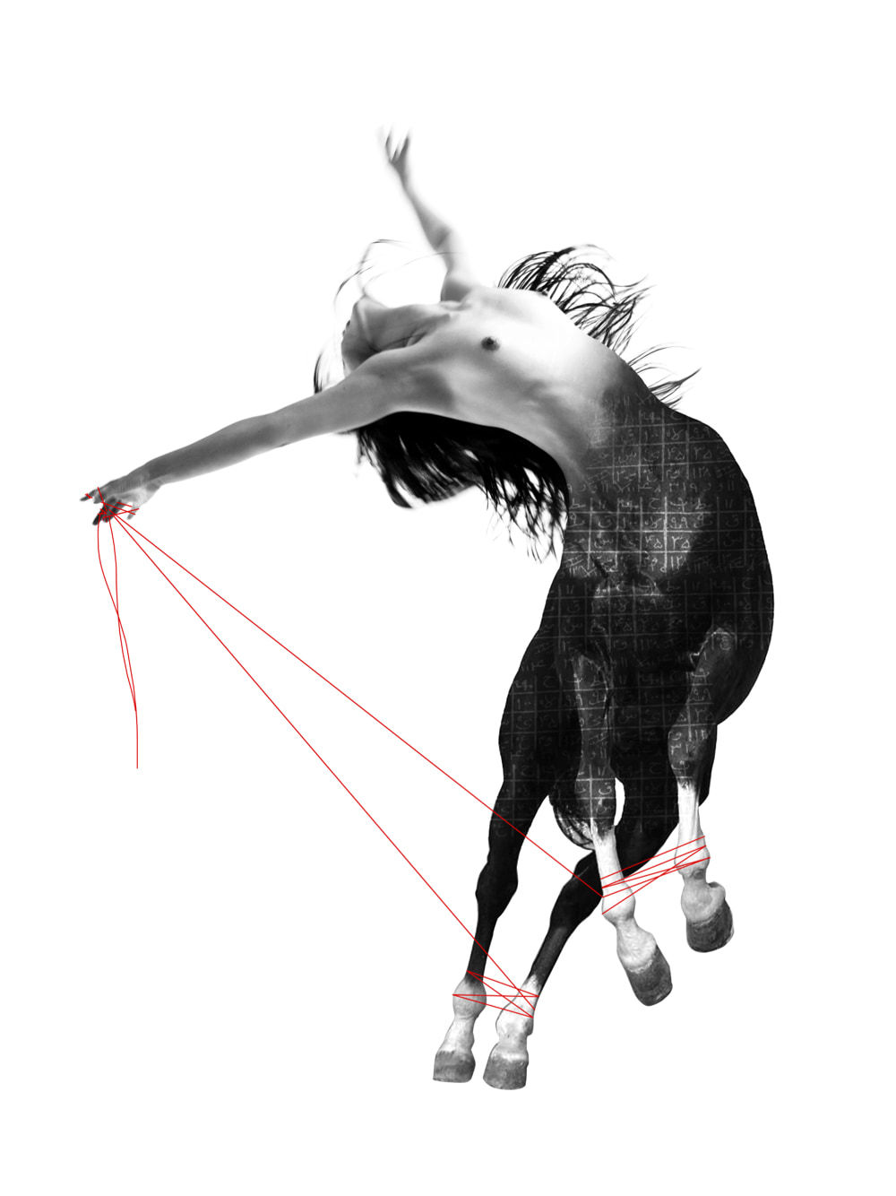 Shadi Rezaei, Geometry of Pain #III, 2016