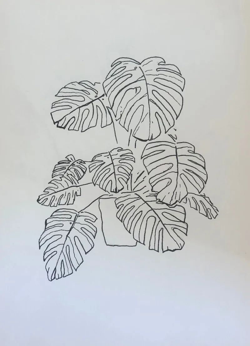 Ania Magliano, Monstera plant, 2019