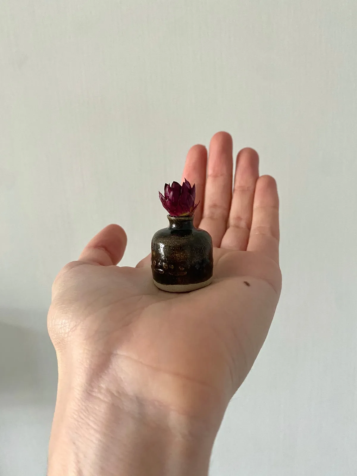 Tilly Slight, Dot dot dash, 2021