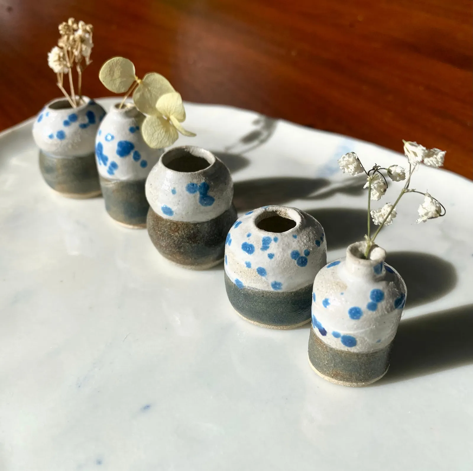 Tilly Slight, Dalmatian halftone set, 2024