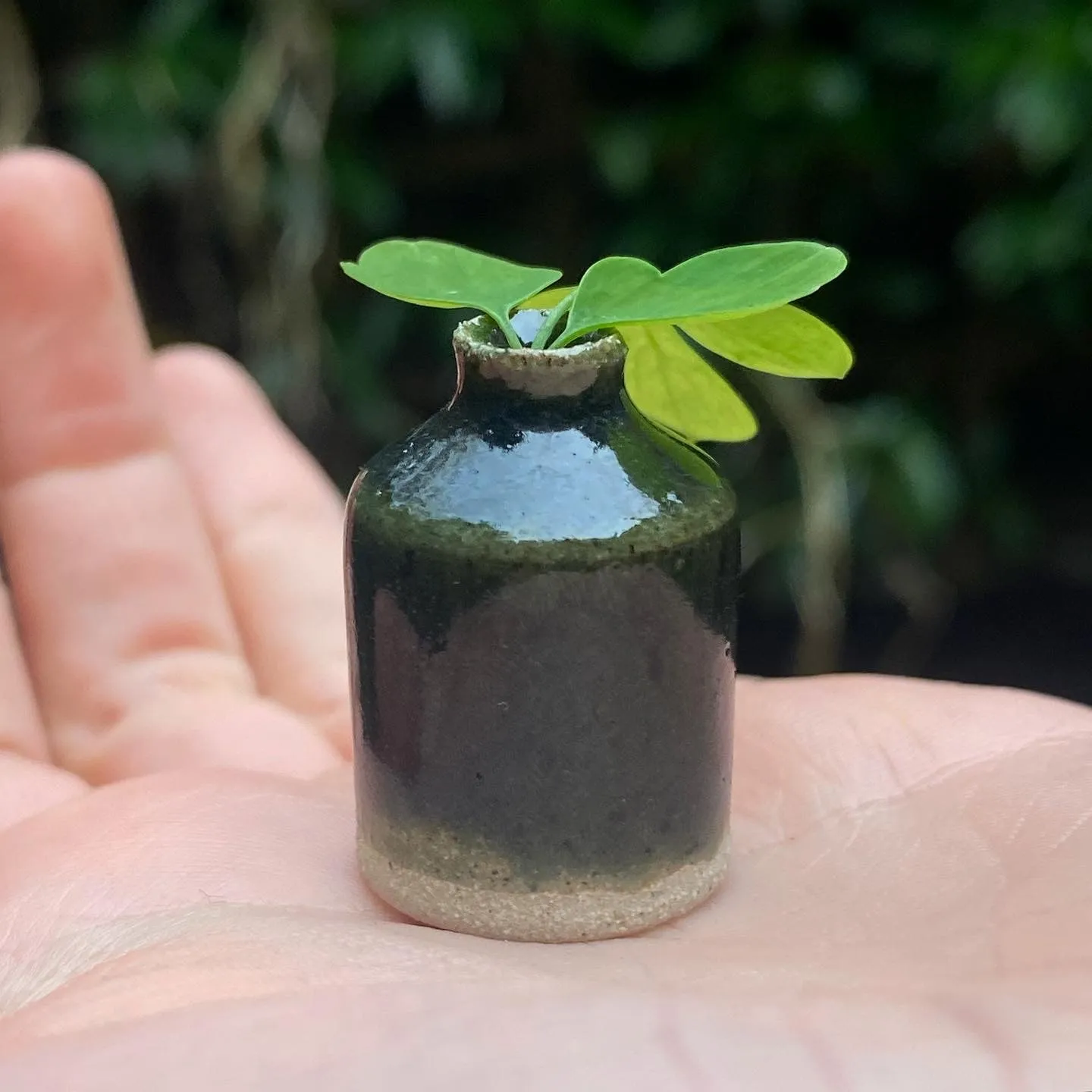 Tilly Slight, Sea glass, 2024