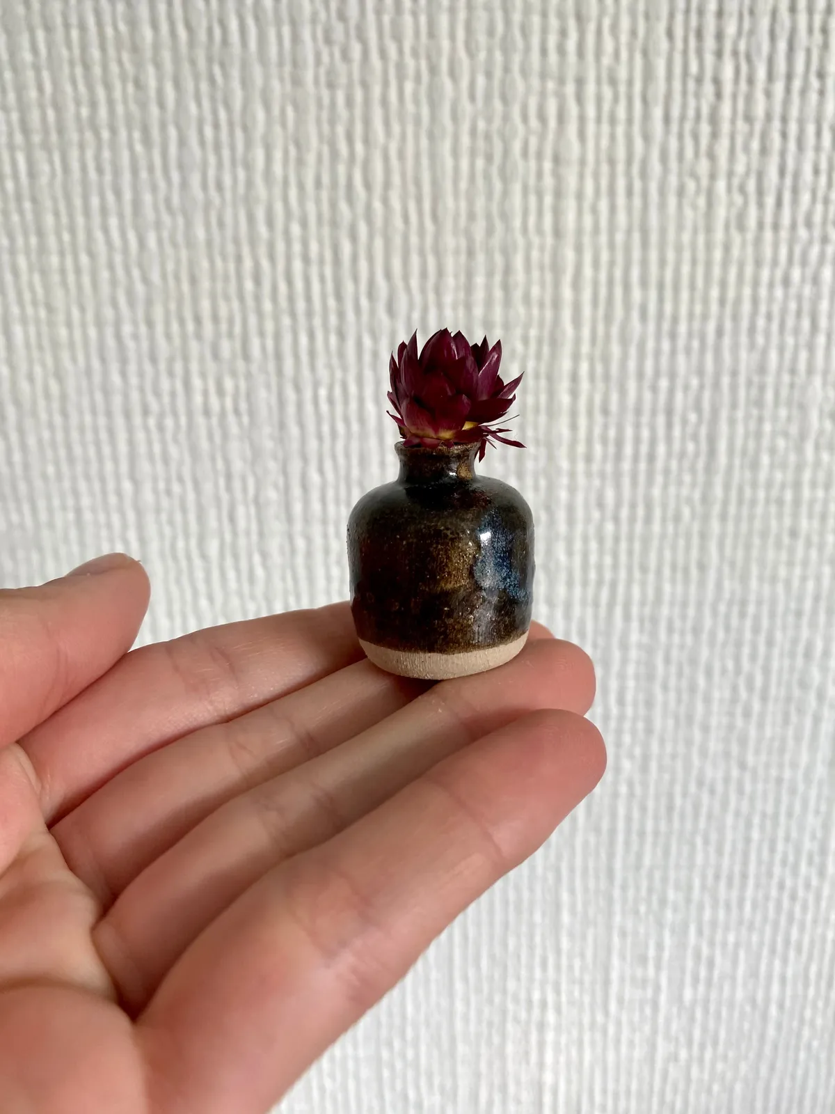 Tilly Slight, Dot dot dash, 2021