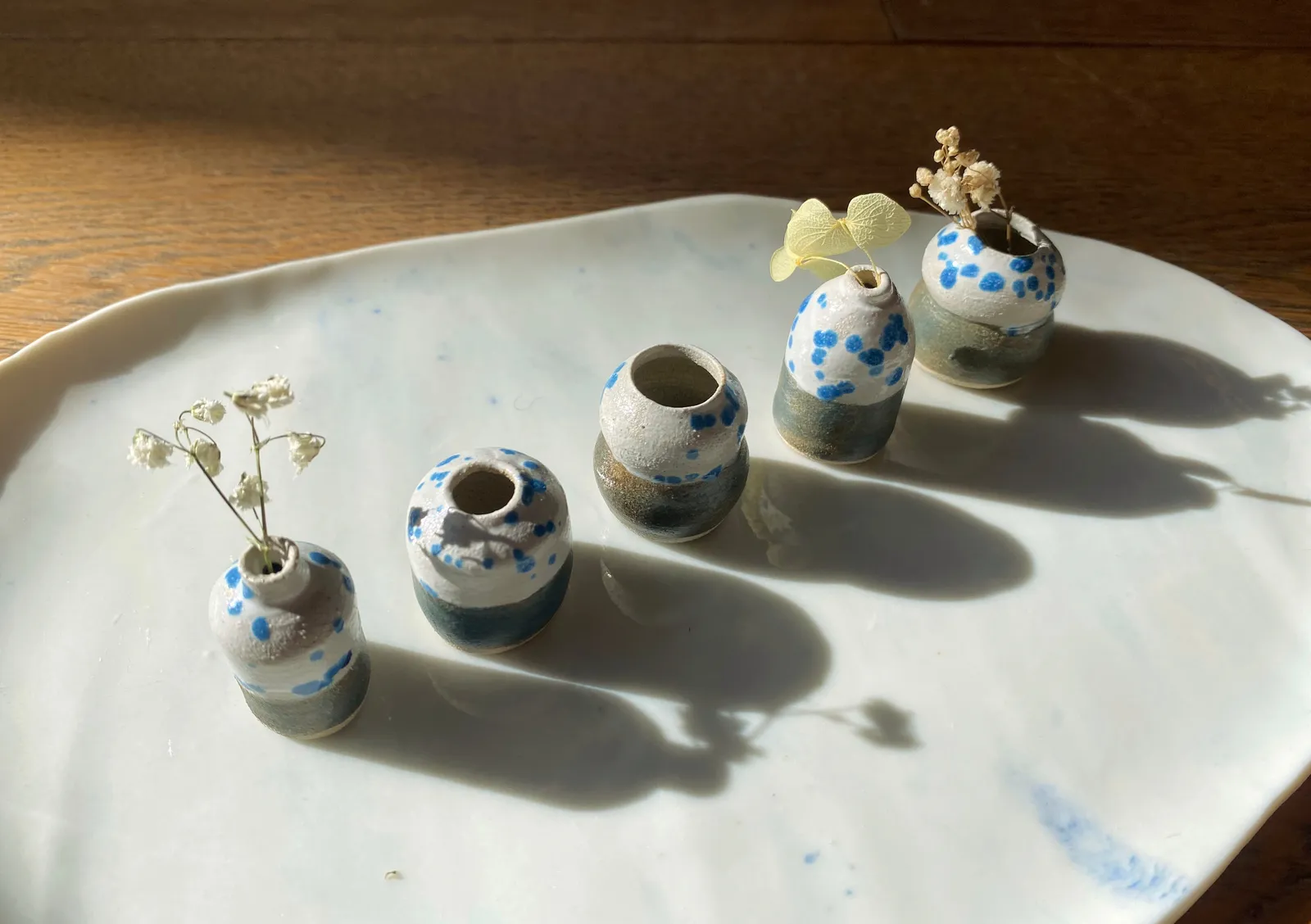 Tilly Slight, Dalmatian halftone set, 2024