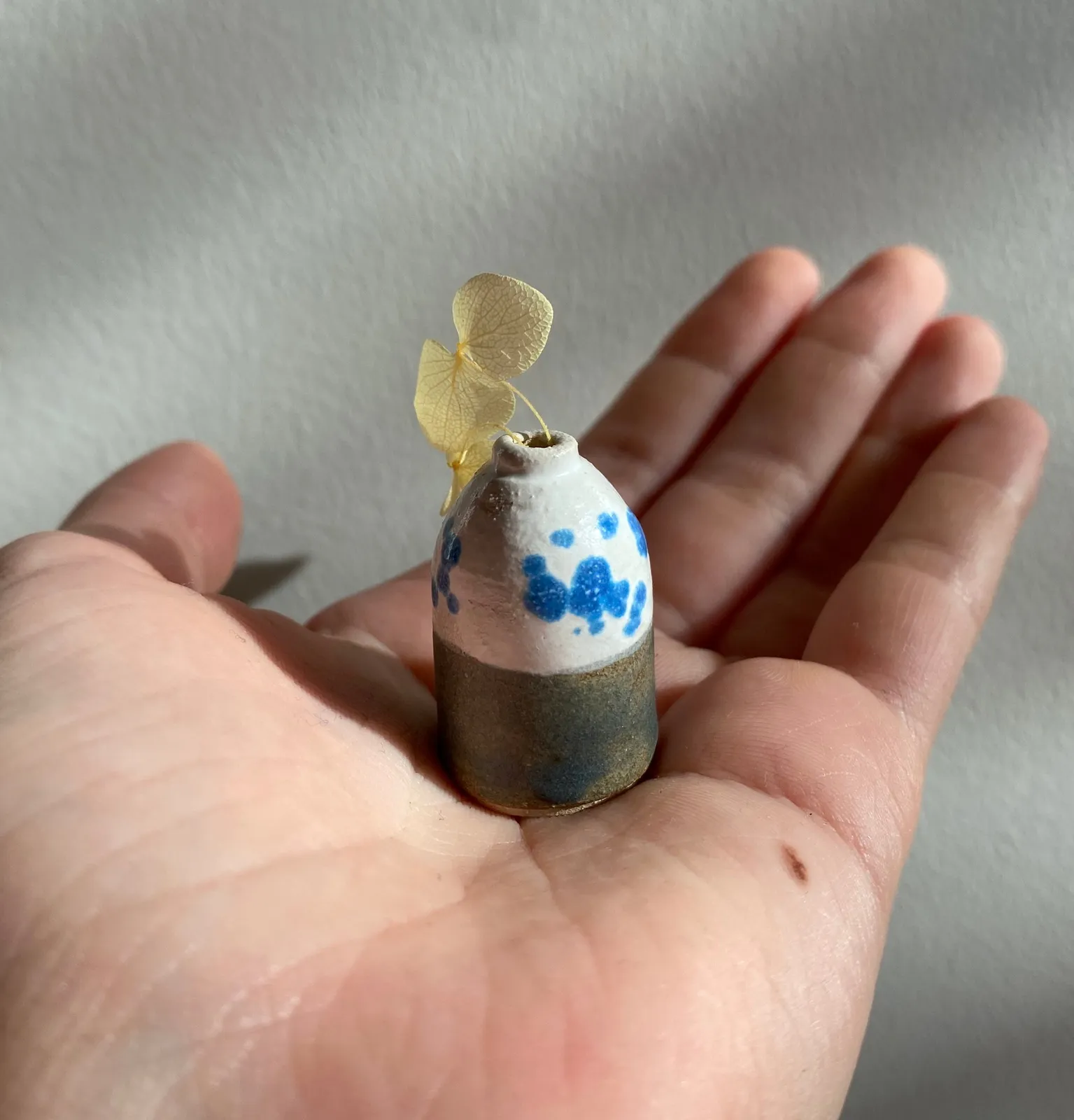 Tilly Slight, Dalmatian halftone set, 2024