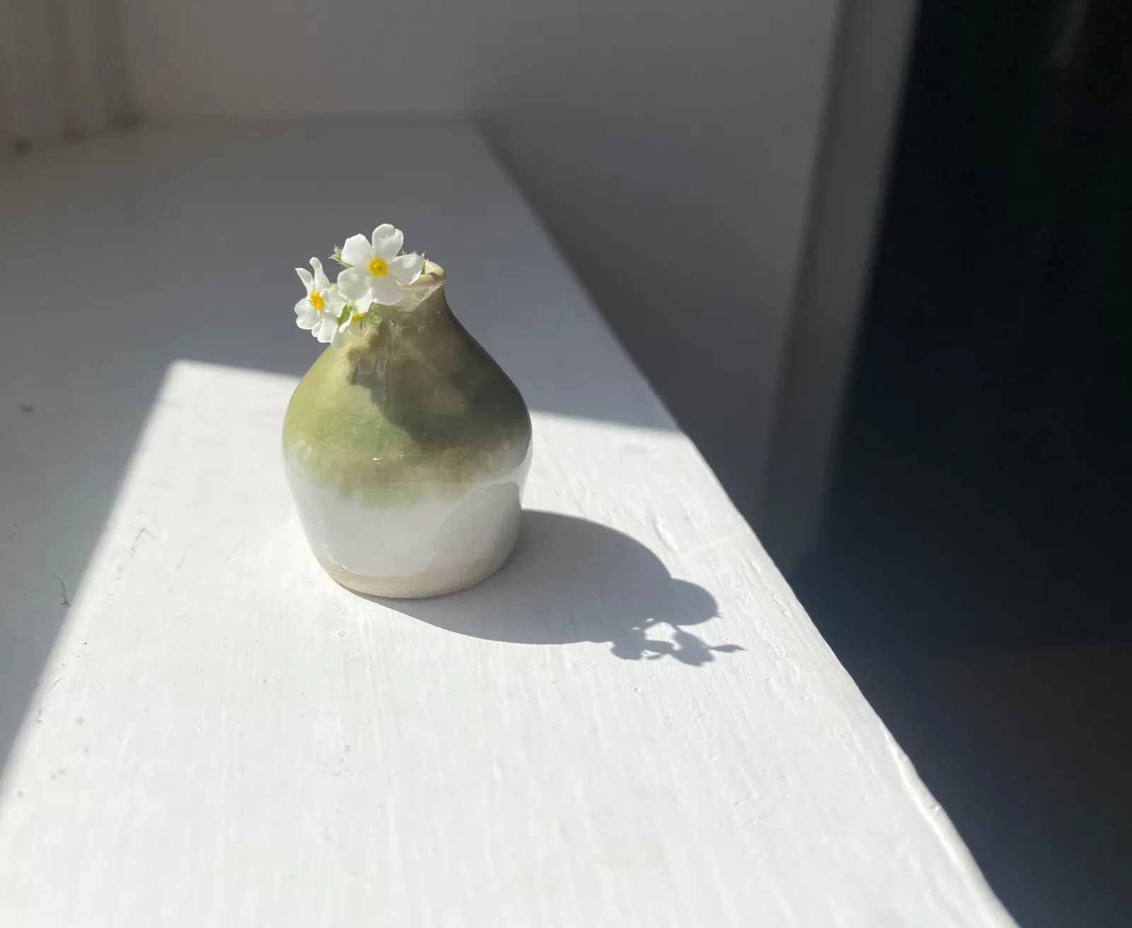 Tilly Slight, Avocado collar, 2023