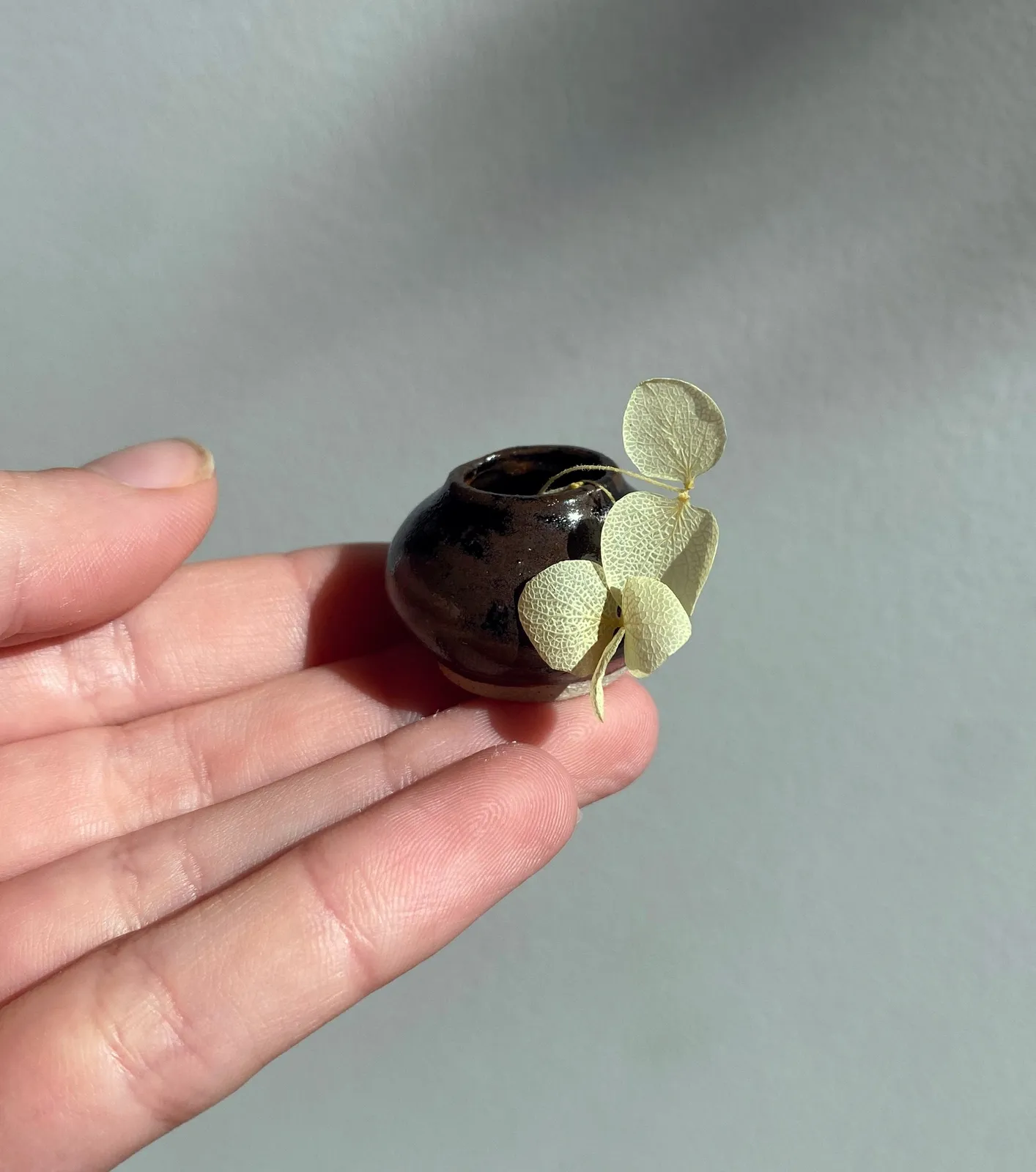 Tilly Slight, Dark chocolate, 2024