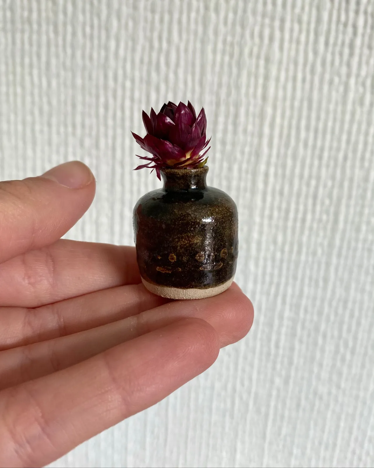 Tilly Slight, Dot dot dash, 2021