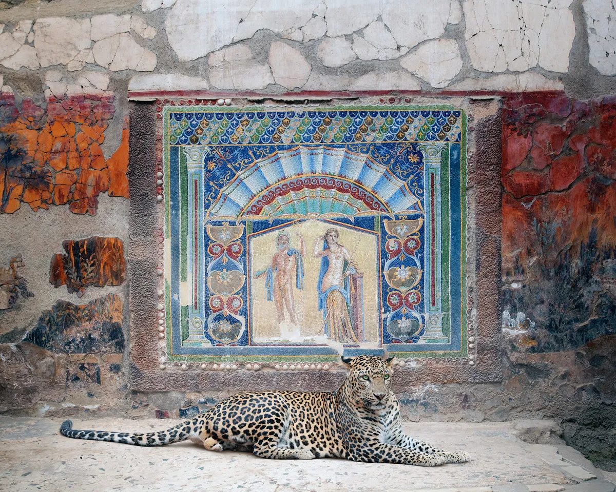 Karen Knorr, Scavi - Bacchus in attendance, House of Neptune and Amphitrite, Herculaneum , 2024