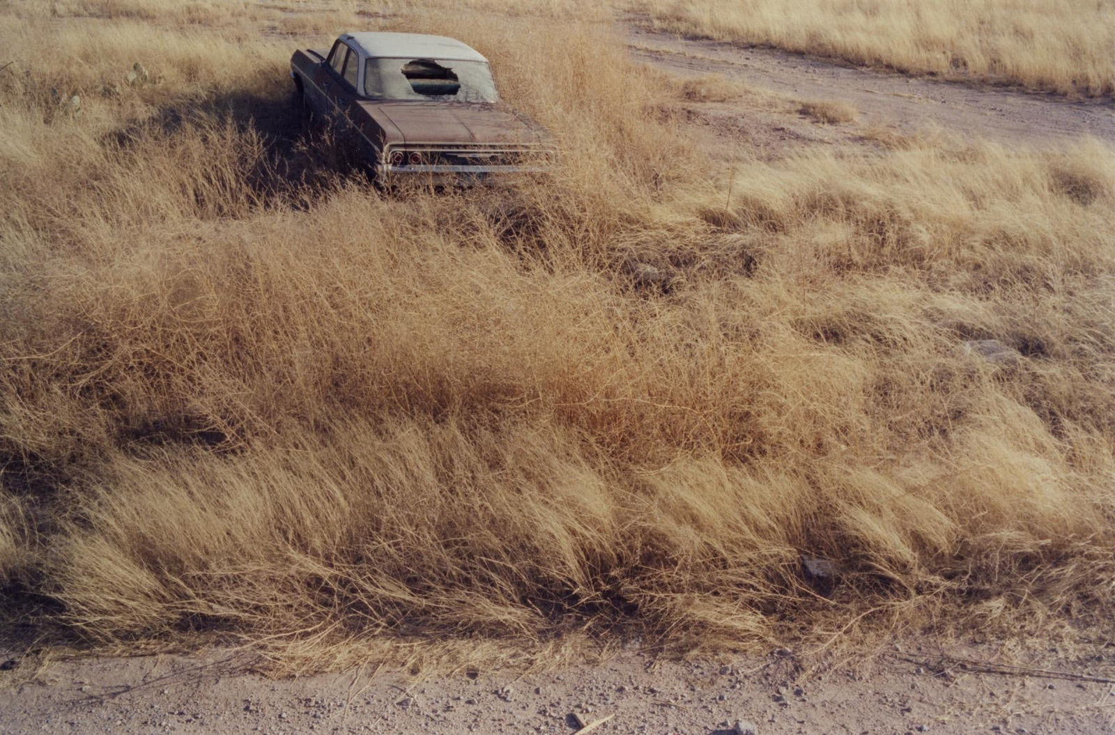 Matt Wilson, 001 Texas, 2011