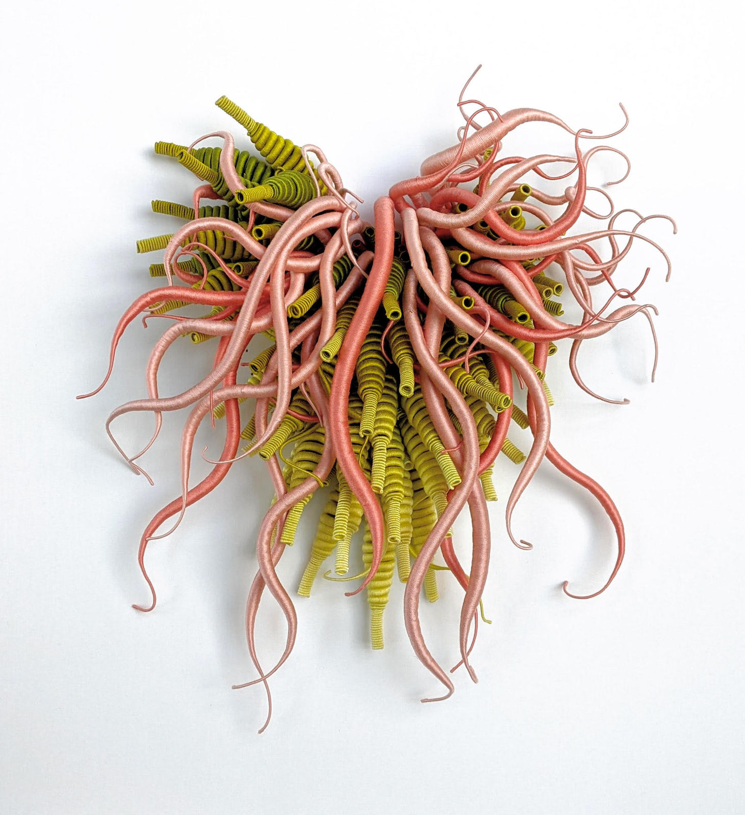 Catherine Latson, Specimen #23, 2021