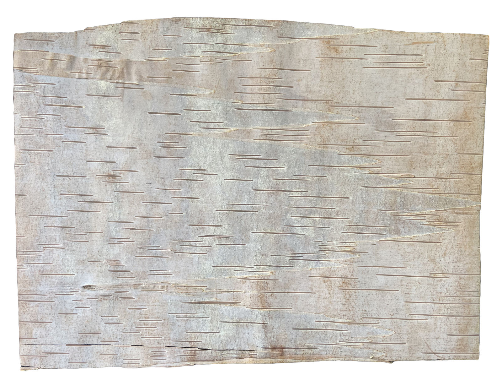 ROY THOMAS (1949-2004) ANISHINAABE, Shaman with Helping Spirits