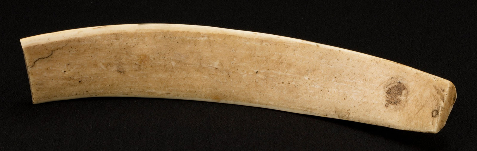 UNIDENTIFIED ARTIST, PROBABLY IÑUPIAQ, POSSIBLY SAINT MICHAEL AREA, ALASKA, Engraved Walrus Tusk, c. 1890s