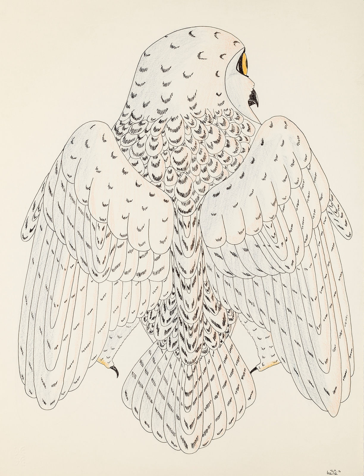 KANANGINAK POOTOOGOOK, R.C.A. (1935-2010) KINNGAIT (CAPE DORSET), Untitled Drawing (Snowy Owl on Watch), 2000s