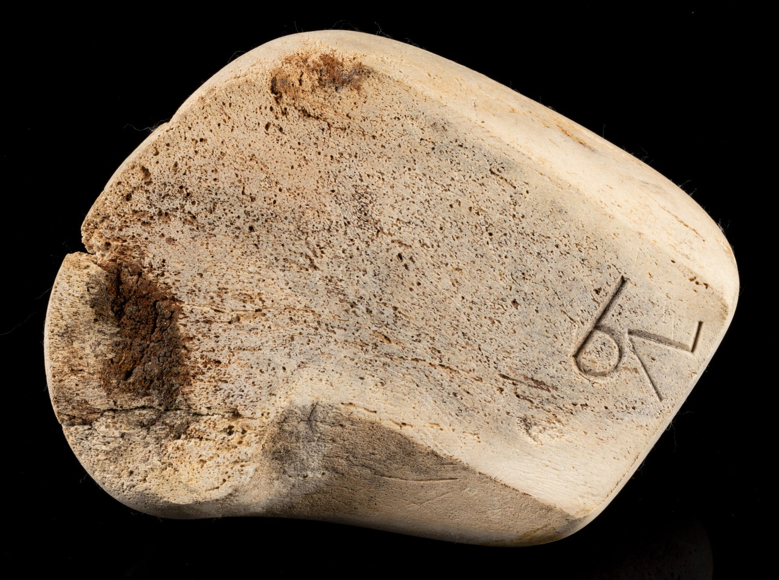 KAROO ASHEVAK (1940-1974) TALOYOAK (SPENCE BAY), Bird Protecting its Egg, 1972