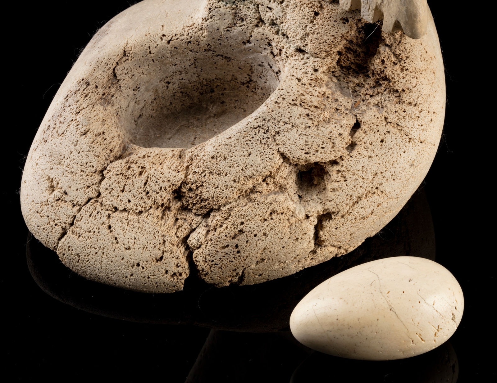 KAROO ASHEVAK (1940-1974) TALOYOAK (SPENCE BAY), Bird Protecting its Egg, 1972