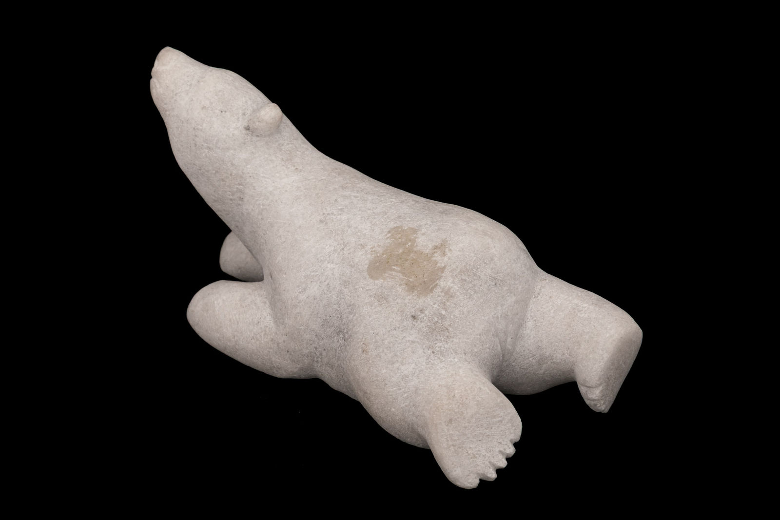 PUDLALIK SHAA (1965-) KINNGAIT (CAPE DORSET), Resting Polar Bear Looking Up, 2000s