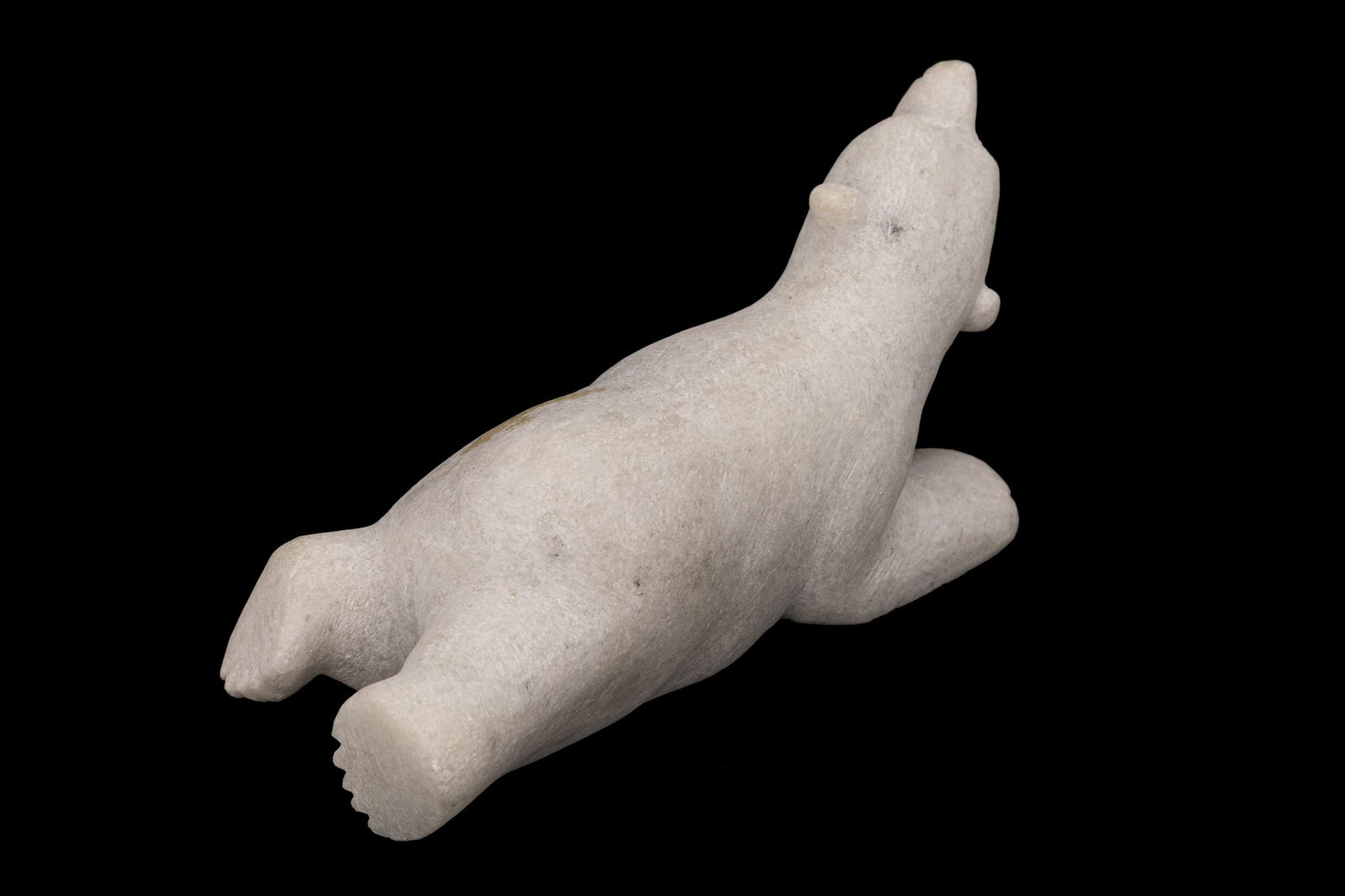 PUDLALIK SHAA (1965-) KINNGAIT (CAPE DORSET), Resting Polar Bear Looking Up, 2000s
