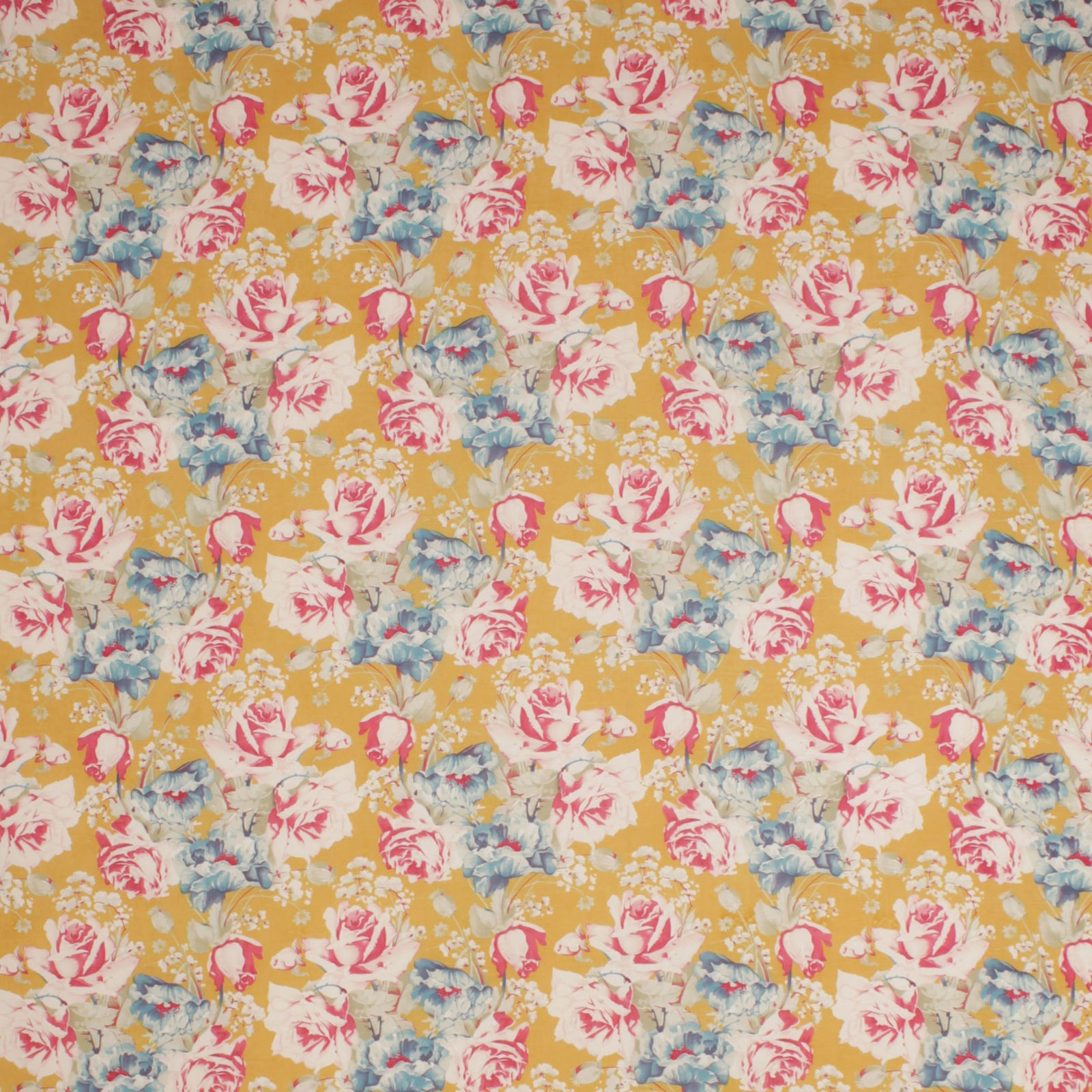 Stratton Garden Tumeric