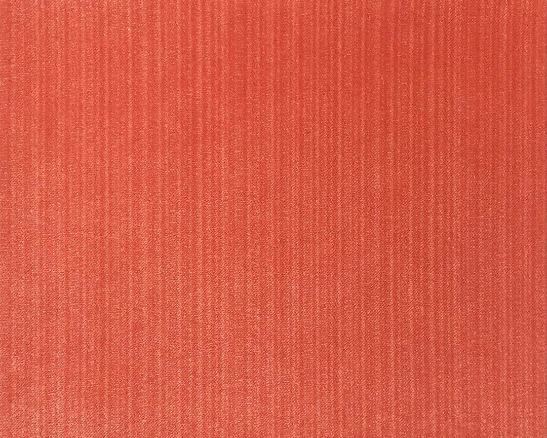 Jane Shelton, Spencer Rose