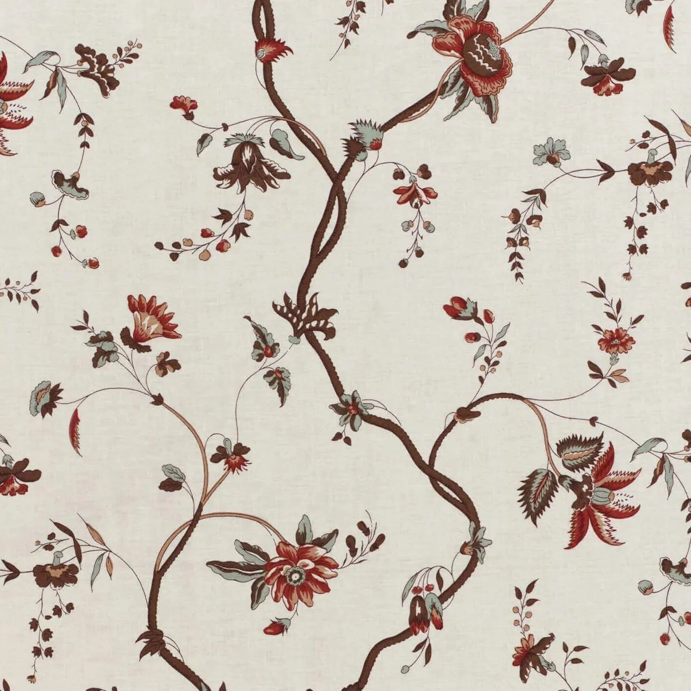 L'eglantier Multicolore