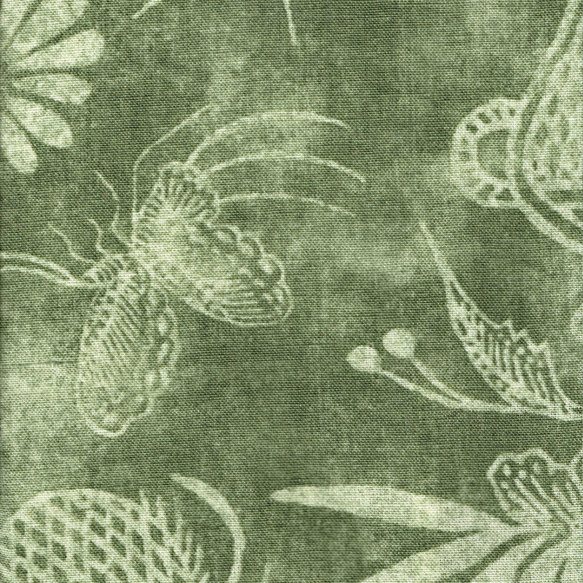 Mughal Gardens Melon and Turmeric