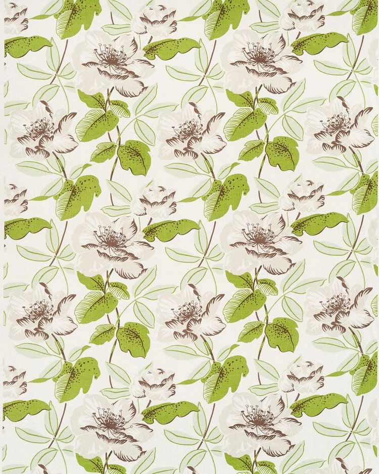 Magnolia Green Brown On Oyster